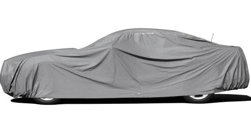 Tarpaulin Car Cover